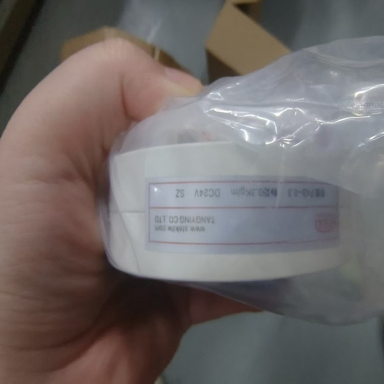 供應(yīng)中國臺灣堂瑩STEKI磁粉離合器PXB-0.3